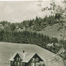 buerserberg2_001.jpg