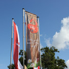IMG_9259.JPG