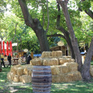 IMG_9264.JPG