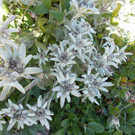 Kneipp Wanderwoche 2013