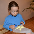 08 ___schneidest du den Bl__tterabdruck entlang dem __u__eren Umriss aus_JPG-1379597908