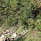 normal_19092013fmt_steinschlagstgilgen_bm_10.jpg