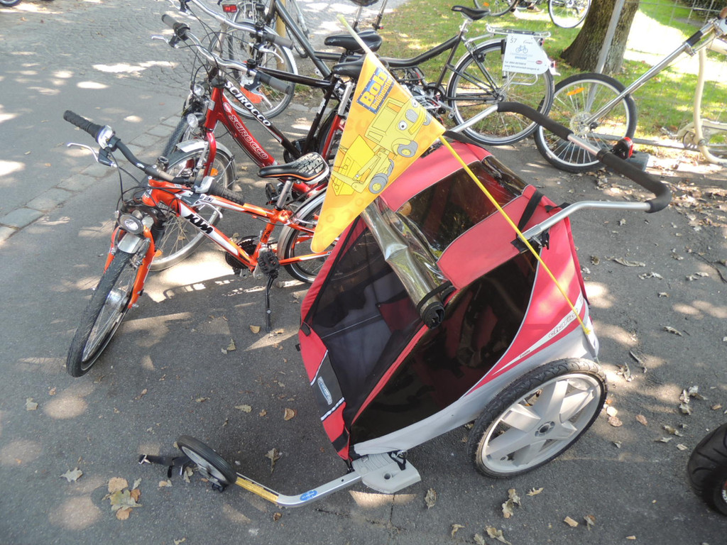 DSCN3608_JPG-1379628170