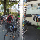 DSCN3602_JPG-1379628154