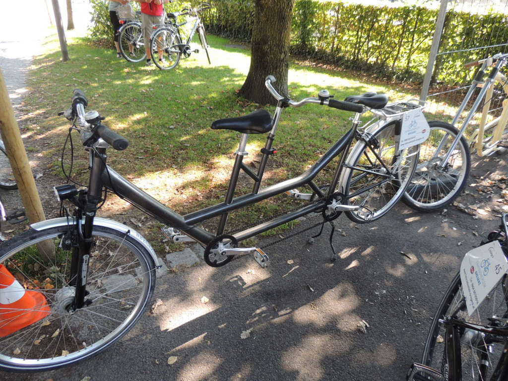 DSCN3611_JPG-1379628182