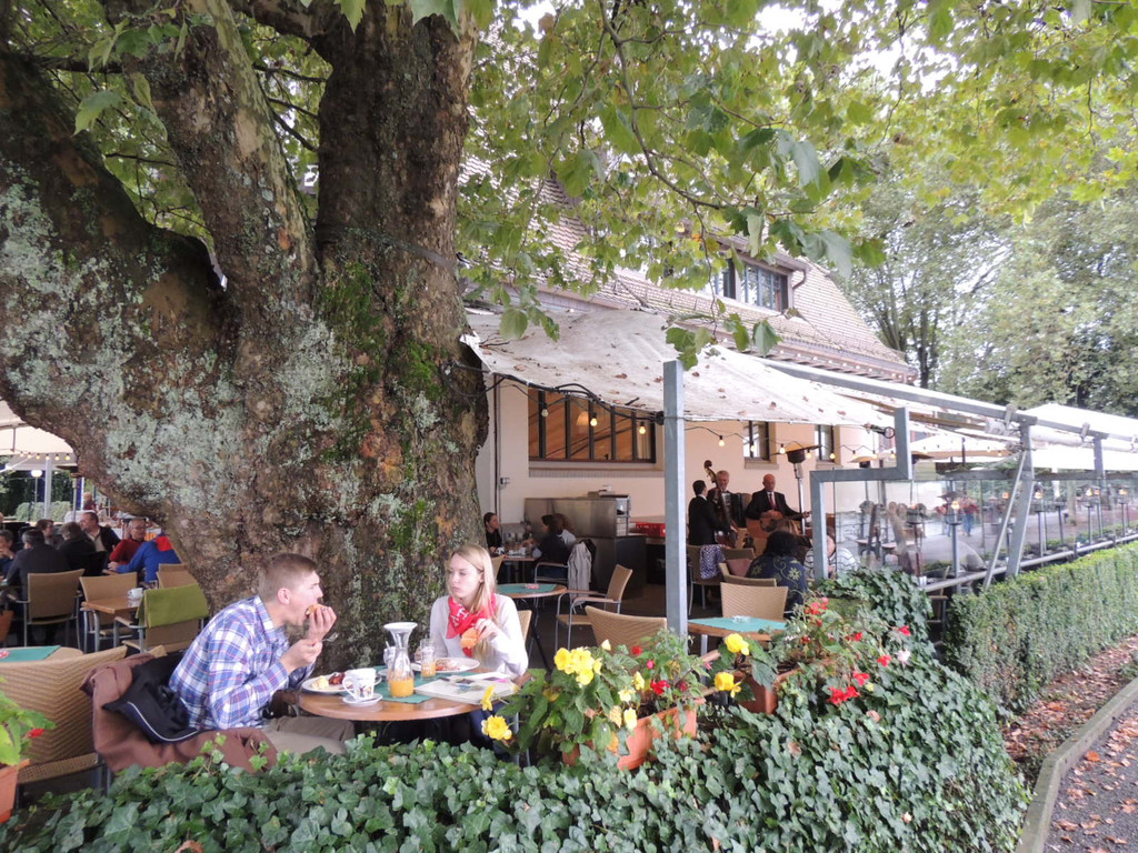 DSCN4649_JPG-1379629361