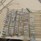 DSCN4118_JPG-1379630544