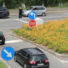 DSCN9679_JPG-1379632099