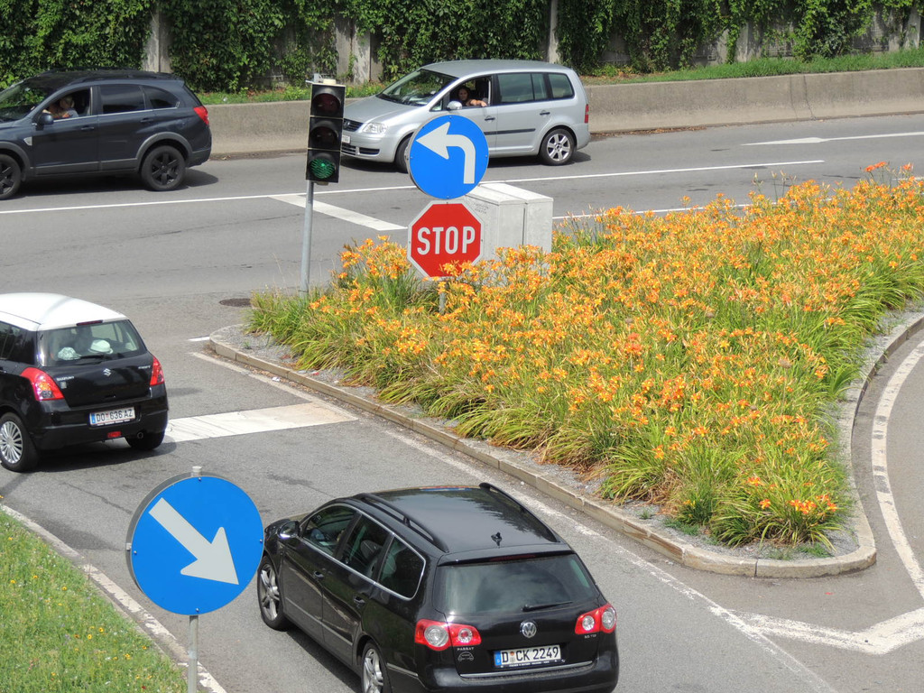 DSCN9679_JPG-1379632099