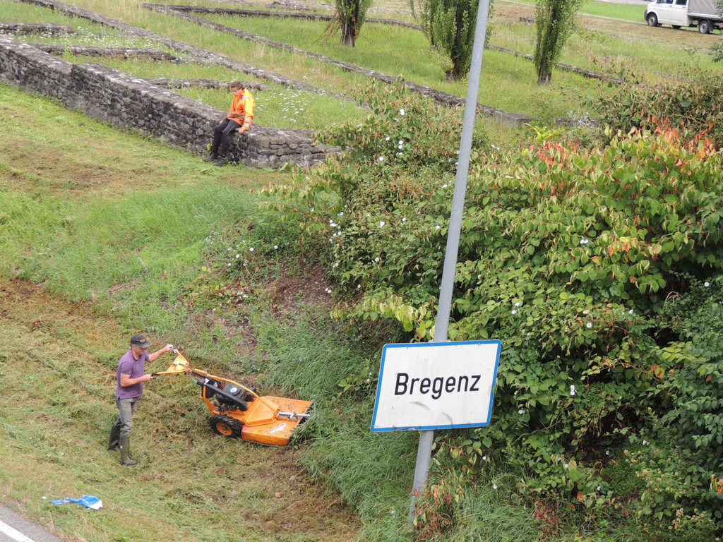 DSCN9682_JPG-1379632103