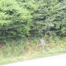 DSCN9698_JPG-1379632119