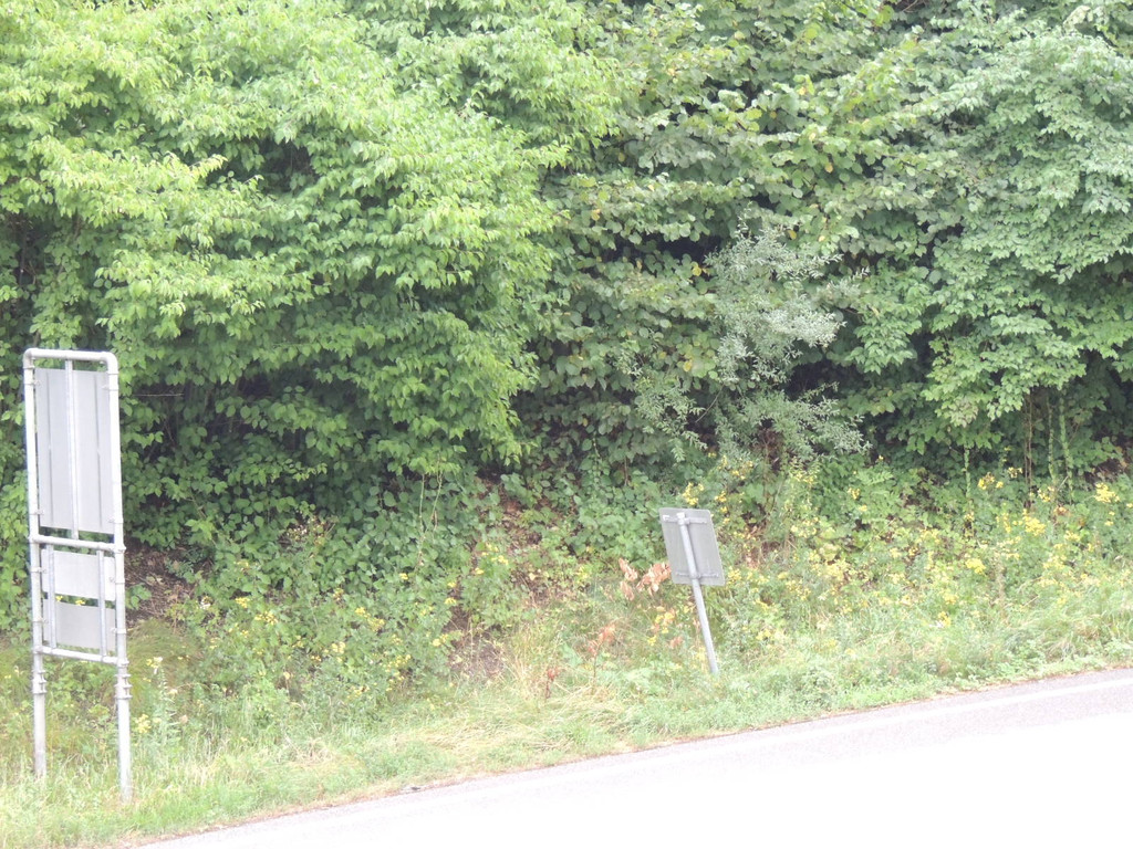 DSCN9698_JPG-1379632119