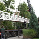 Br__cke Ruggbach Weidenweg Montage 20-09-2013 _15__jpg-1379676803