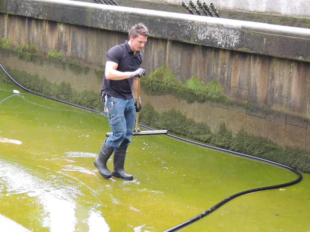 DSCN9647_JPG-1379684554