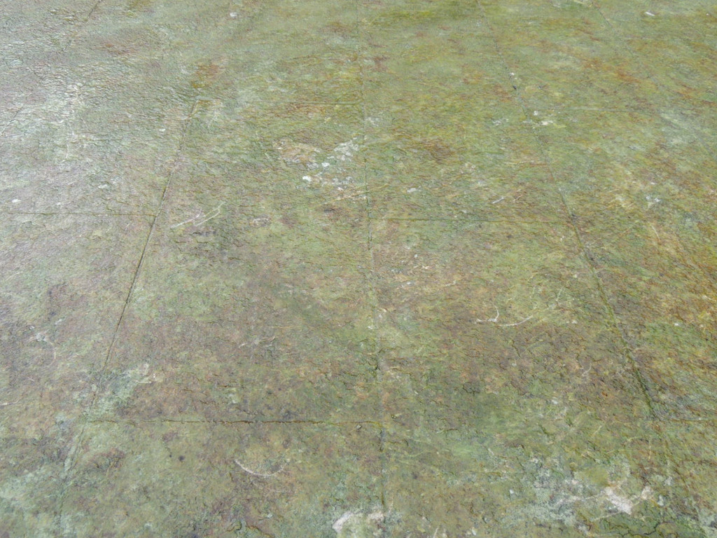 DSCN9659_JPG-1379684579