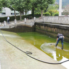 DSCN9646_JPG-1379684549