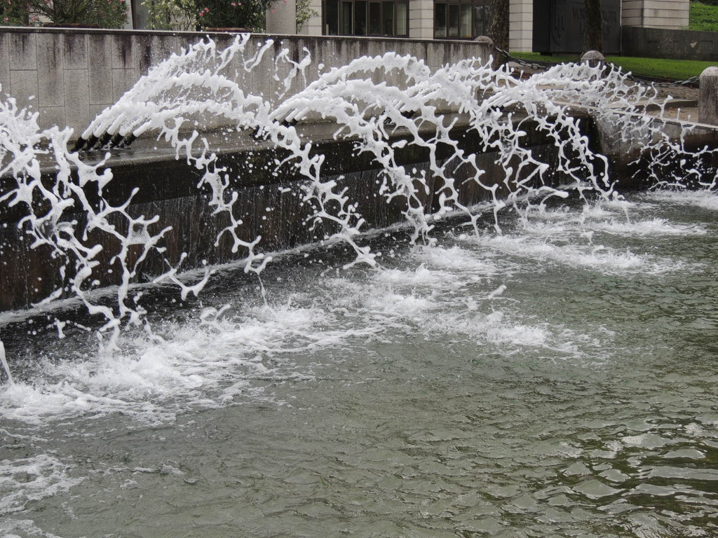 DSCN1840_JPG-1379684542