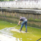 DSCN9650_JPG-1379684562