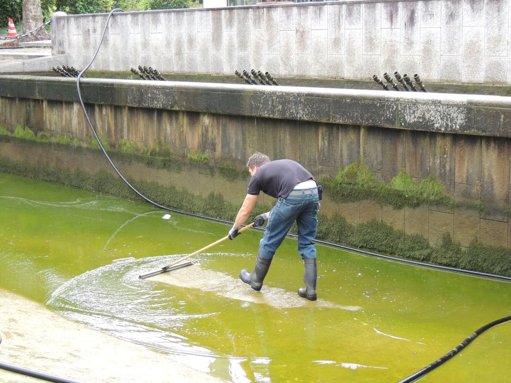 DSCN9650_JPG-1379684562