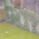 DSCN9661_JPG-1379684584