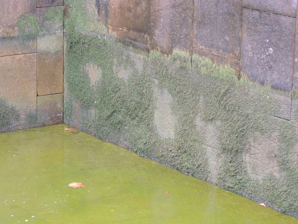 DSCN9661_JPG-1379684584