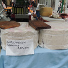 DSCN5047_JPG-1379685798