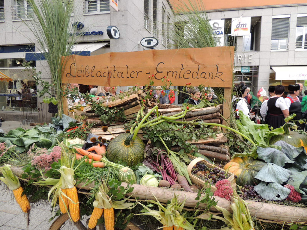 DSCN4960_JPG-1379687581