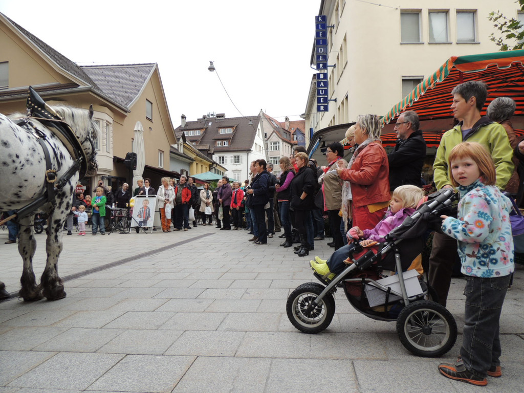 DSCN4978_JPG-1379687597