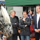 DSCN4985_JPG-1379687621