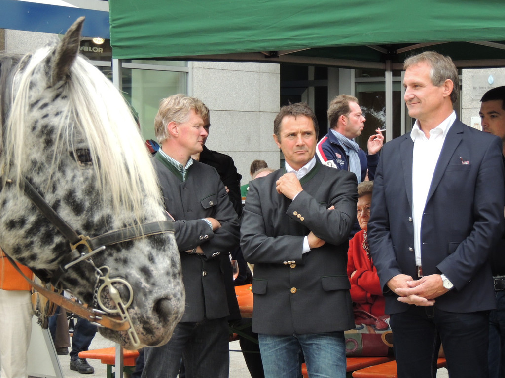 DSCN4985_JPG-1379687621