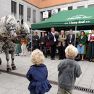 DSCN4991_JPG-1379687624