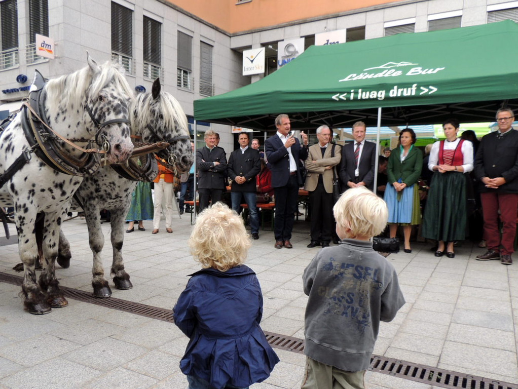 DSCN4991_JPG-1379687624