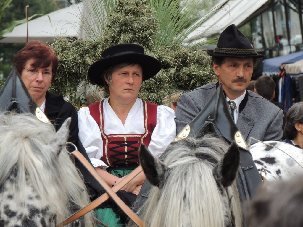 DSCN5009_JPG-1379687648