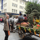 DSCN5017_JPG-1379687652