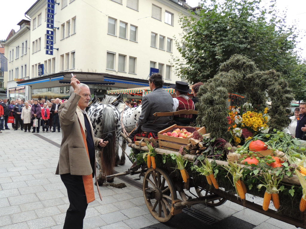 DSCN5017_JPG-1379687652