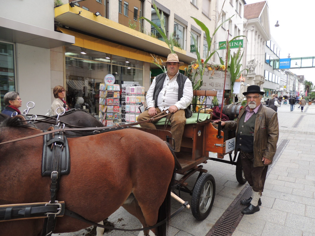 DSCN5020_JPG-1379687656