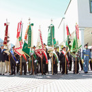 IMG_7916.jpg