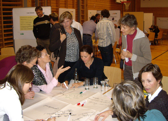 Sulz_Leitbild_Diskussion2_jpg-1268752569