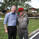 Alpabtrieb Galtvieh Fraxern 2013