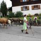 alpabtrieb _3__jpg-1379695577