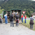 alpabtrieb _34__jpg-1379695824