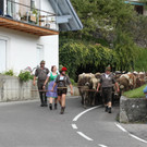 alpabtrieb_jpg-1379695907