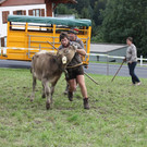 IMG_6630_jpg-1379695924