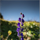 sd  124_jpg-1379695156
