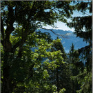 sd  231_jpg-1379696327