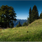 sd  397_jpg-1379696442