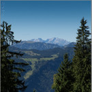 sd  420_jpg-1379696463