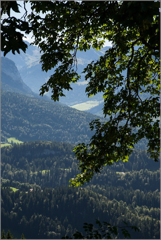 sd  491_jpg-1379696509