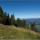 sd  025_jpg-1379698461