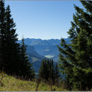 sd  031_jpg-1379698471
